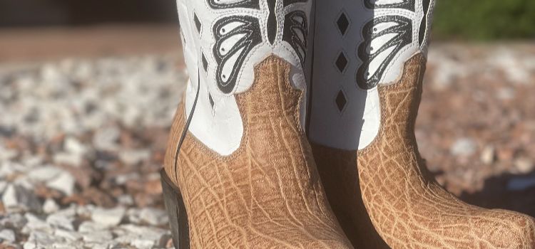 Pair of women's cowboy boots with sunlight reflecting off of them.